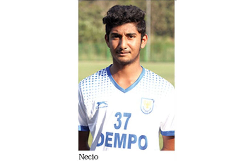 Necio-Fernandes